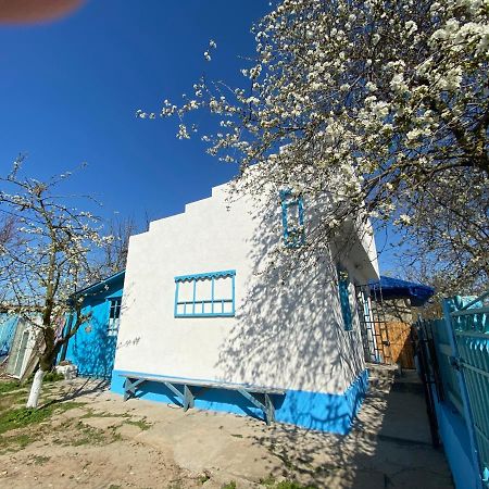 Casa Bunicilor Granny'S House Villa Jurilovca Dış mekan fotoğraf