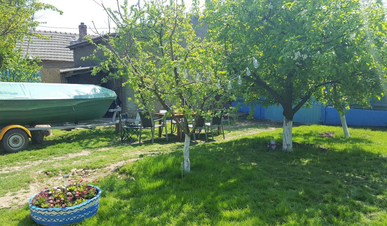 Casa Bunicilor Granny'S House Villa Jurilovca Dış mekan fotoğraf