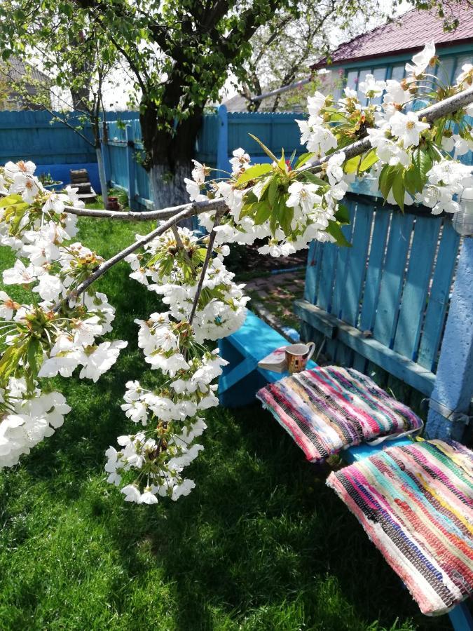 Casa Bunicilor Granny'S House Villa Jurilovca Dış mekan fotoğraf