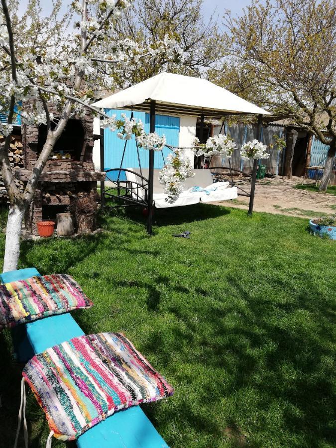 Casa Bunicilor Granny'S House Villa Jurilovca Dış mekan fotoğraf