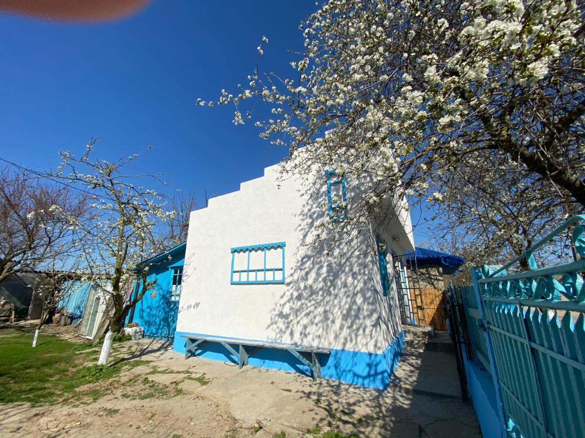 Casa Bunicilor Granny'S House Villa Jurilovca Dış mekan fotoğraf
