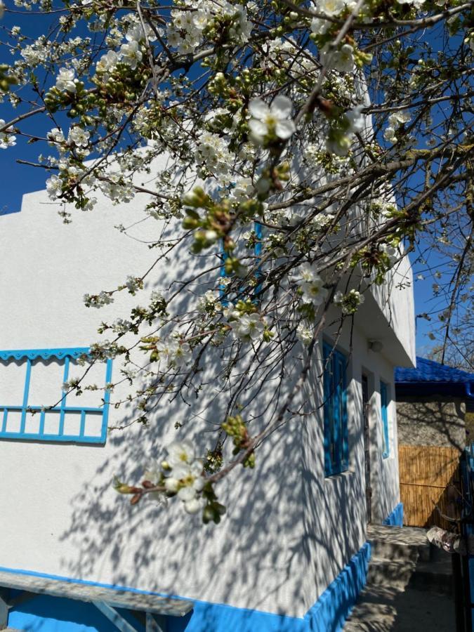 Casa Bunicilor Granny'S House Villa Jurilovca Dış mekan fotoğraf