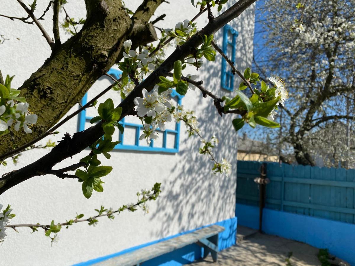 Casa Bunicilor Granny'S House Villa Jurilovca Dış mekan fotoğraf
