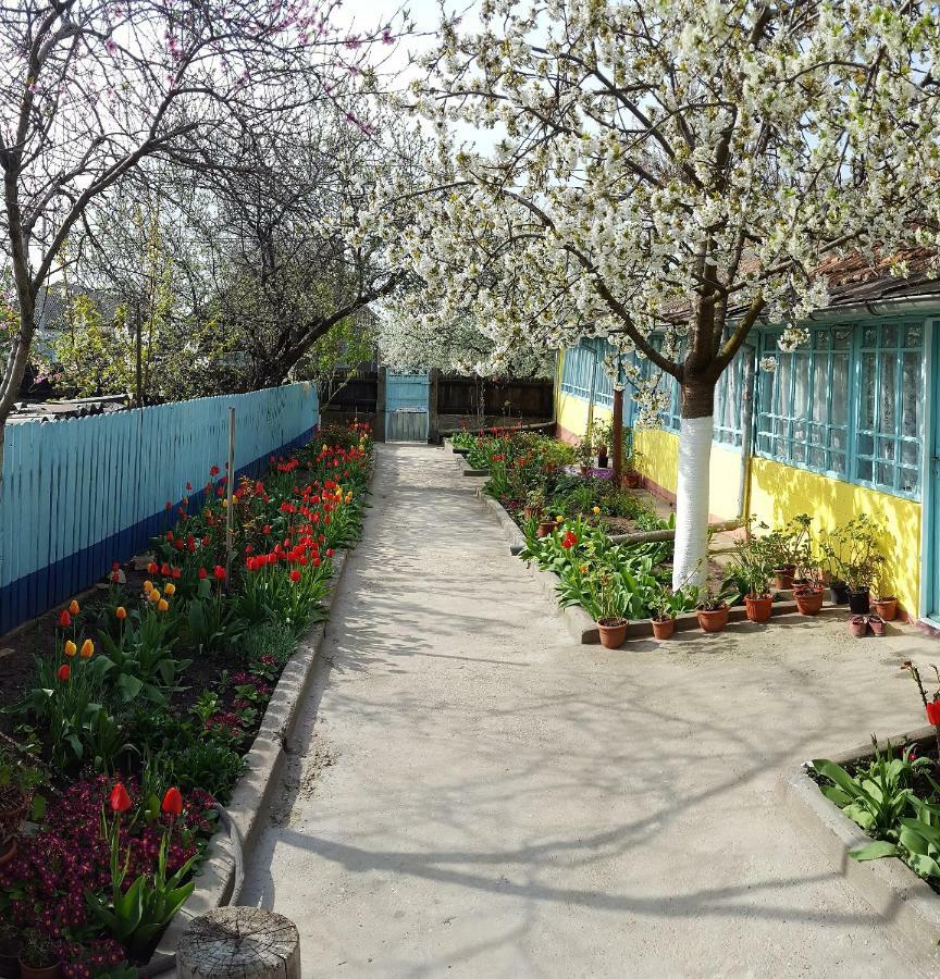 Casa Bunicilor Granny'S House Villa Jurilovca Dış mekan fotoğraf