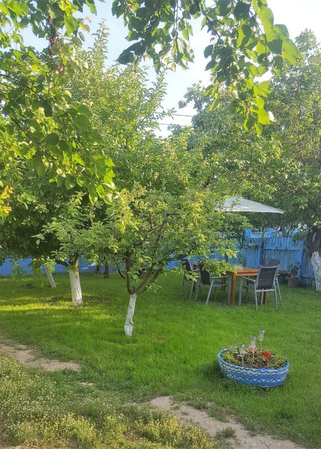 Casa Bunicilor Granny'S House Villa Jurilovca Dış mekan fotoğraf