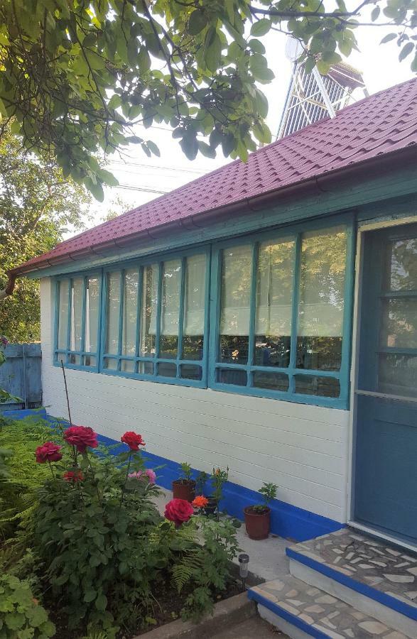 Casa Bunicilor Granny'S House Villa Jurilovca Dış mekan fotoğraf